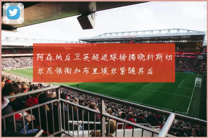 阿森纳后卫英超进球榜揭晓科斯切尔尼领衔加布里埃尔紧随其后