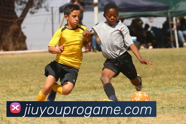 App Interface Preview